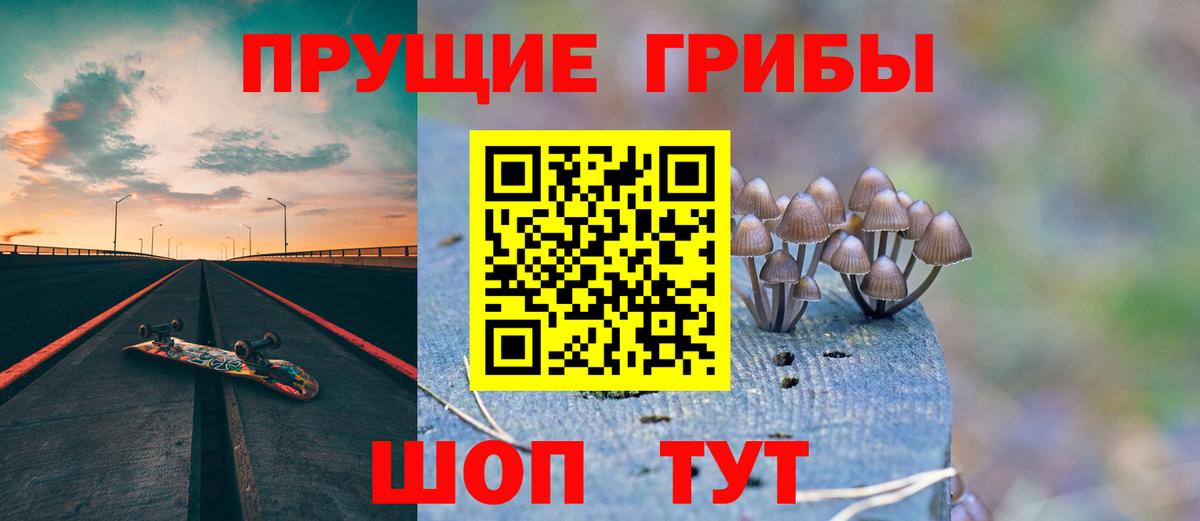 Павловский Посад  закладки  Вход с VPN  Псилоцибиновые грибы Psilocybe 